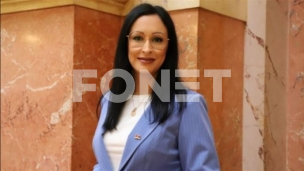 Razvoj lokalnih samouprava